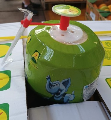 Foto Cocco Da Bere Calibro 9 Origine Thailandia Marchio Legumi Fondi              2